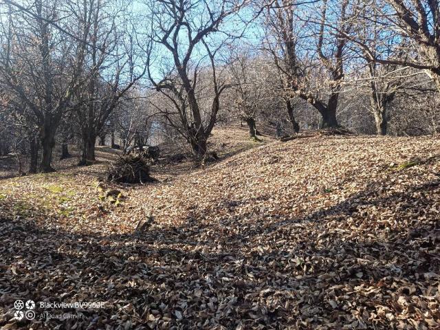 Terreno in vendita a Piemonte, Cuneo