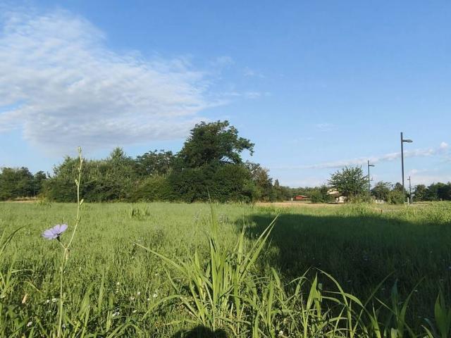 Terreno in vendita a Manzano, Friuli-Venezia Giulia
