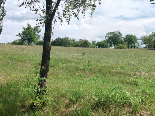 Terreno in vendita a Manzano, Friuli-Venezia Giulia