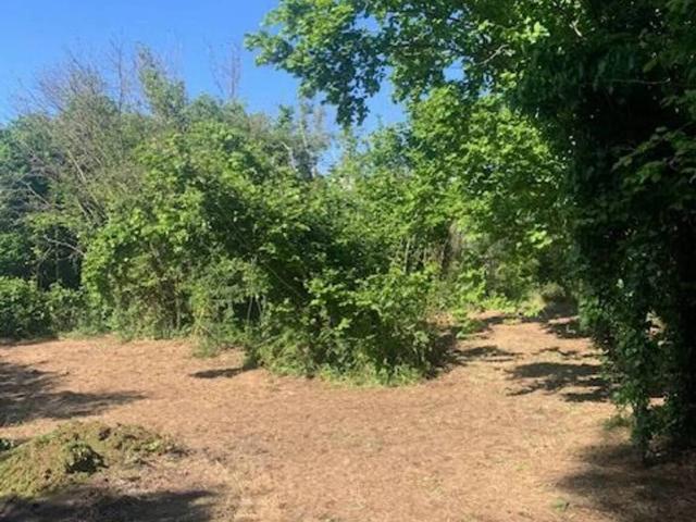 Terreno in vendita a Roma Capitale, Lazio