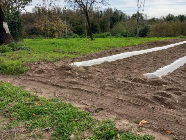 Terreno in vendita a Marano Di Napoli, Campania