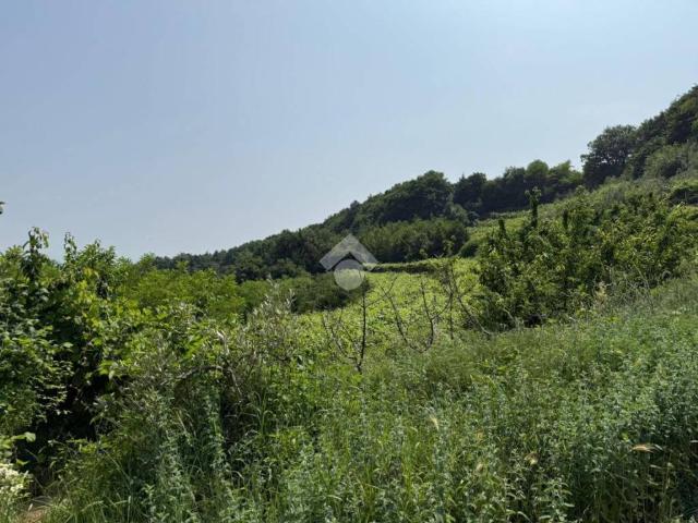 Terreno in vendita a Marano Di Valpolicella, Veneto