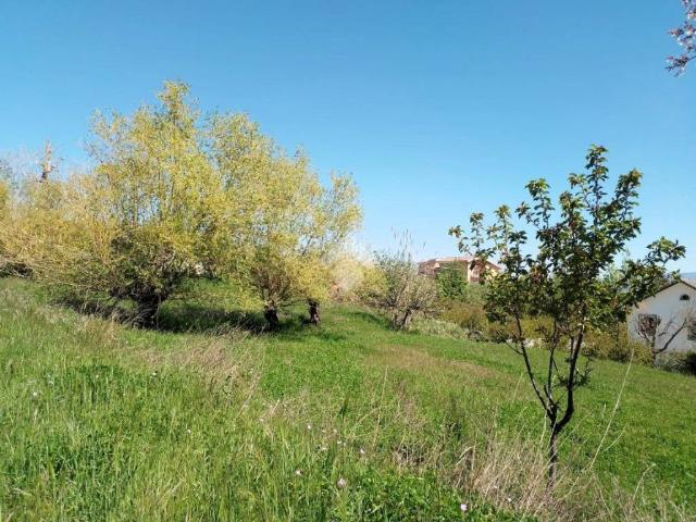 Terreno in vendita a Calabria, Cosenza