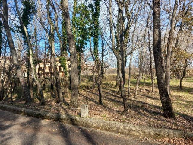 Terreno in vendita a Calabria, Cosenza
