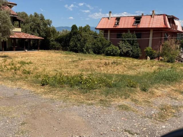Terreno in vendita a Calabria, Cosenza