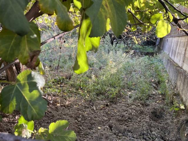 Terreno in vendita a Calabria, Cosenza