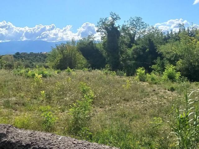 Terreno in vendita a Calabria, Cosenza