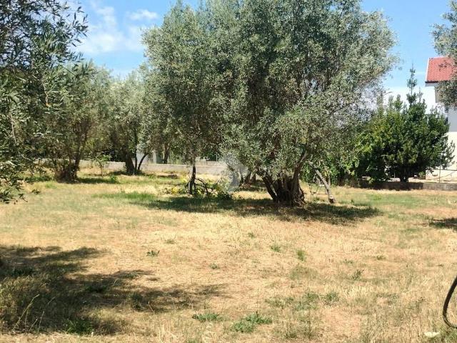 Terreno in vendita a Calabria, Cosenza