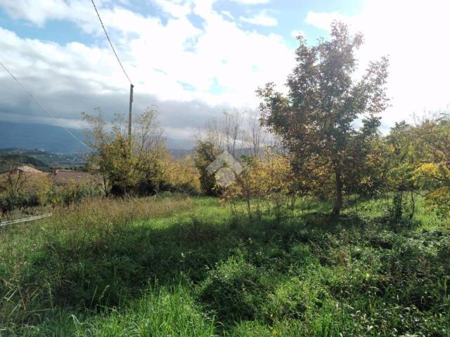 Terreno in vendita a Calabria, Cosenza