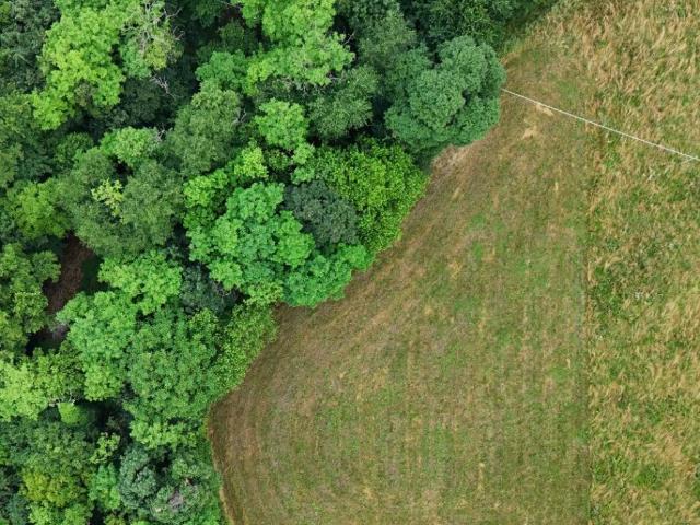 Terreno in vendita a Marano Vicentino, Veneto
