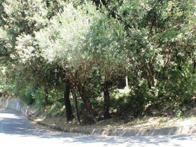 Terreno in vendita a Maratea, Basilicata
