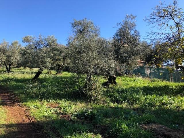 Terreno in vendita a Roma Capitale, Lazio