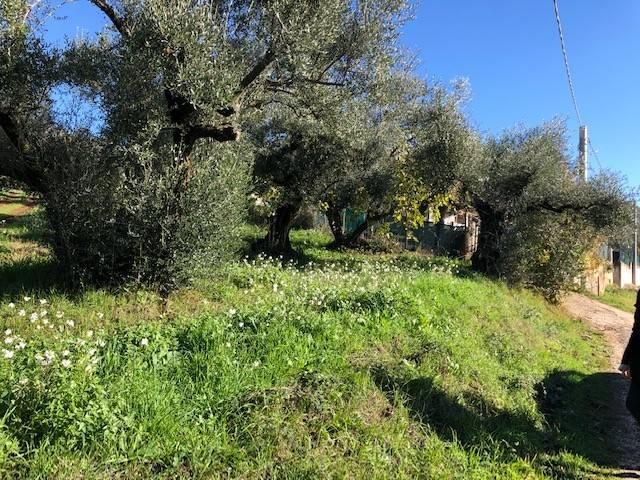 Terreno in vendita a Roma Capitale, Lazio