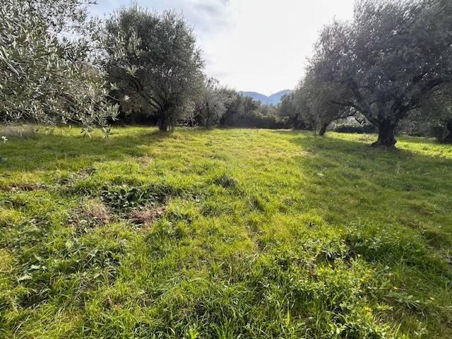Terreno in vendita a Campo, Roma Capitale