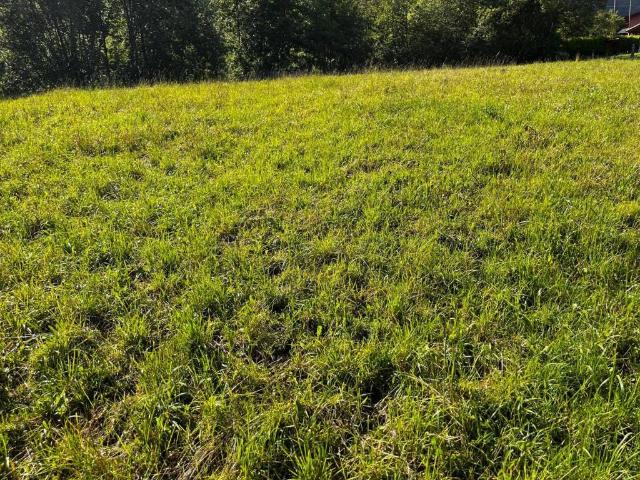 Terreno in vendita a Comunità montana della valle Trompia, Marcheno