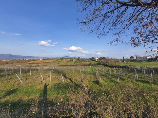 Terreno in vendita a Cesa, Marciano Della Chiana