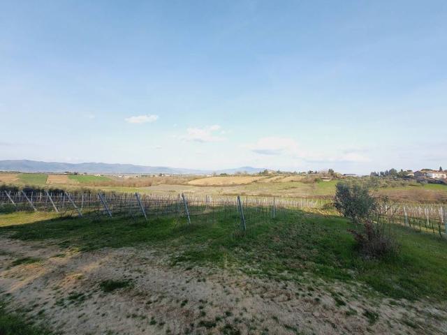 Terreno in vendita a Cesa, Marciano Della Chiana