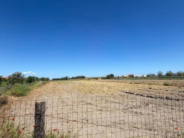 Terreno in vendita a Puglia, Barletta-andria-trani