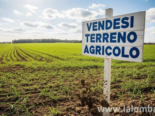 Terreno in vendita a Mariano Comense, Lombardia