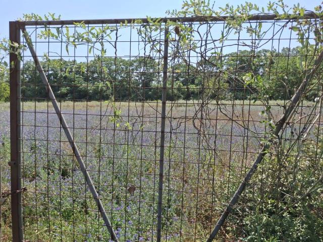 Terreno in vendita a Marigliano, Campania