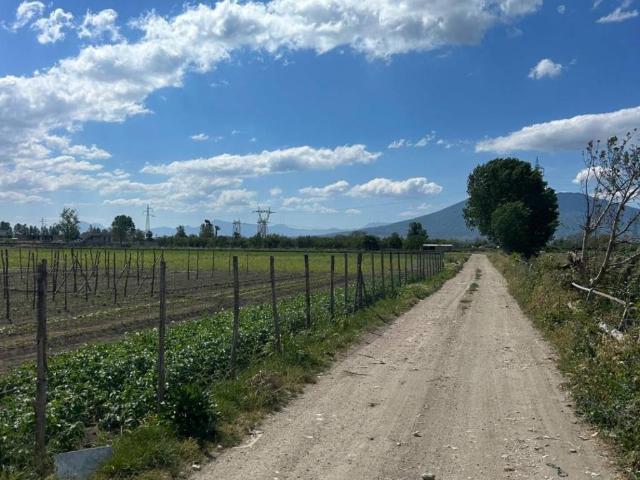 Terreno in vendita a Marigliano, Campania
