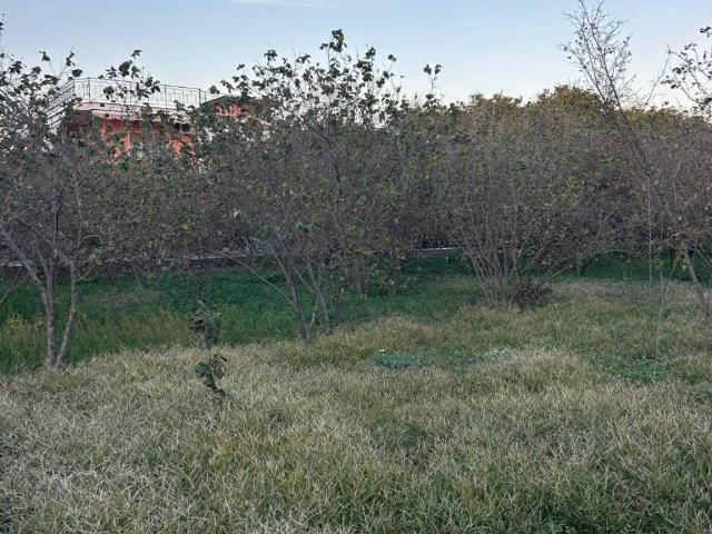 Terreno in vendita a Marigliano, Campania