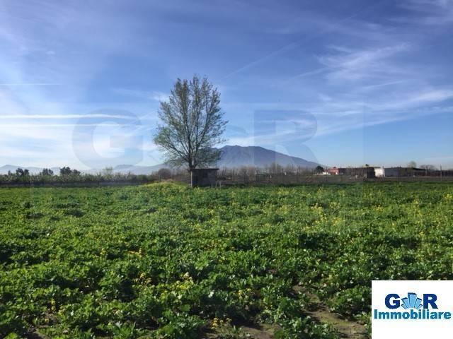 Terreno in vendita a Marigliano, Campania