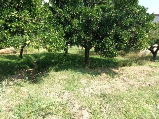 Terreno in vendita a Calabria, Reggio Calabria