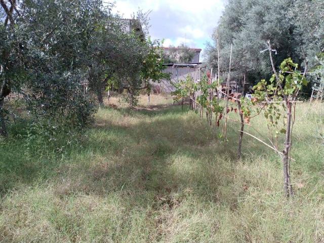 Terreno in vendita a Calabria, Reggio Calabria