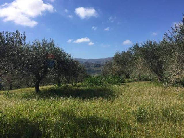 Terreno in vendita a Marineo, Sicilia