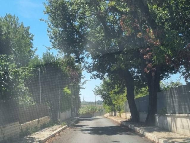 Terreno in vendita a Roma Capitale, Lazio