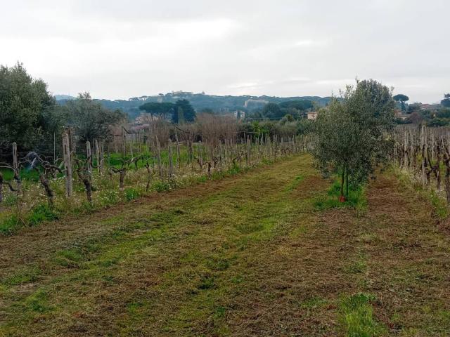 Terreno in affitto a Due Santi, Roma Capitale