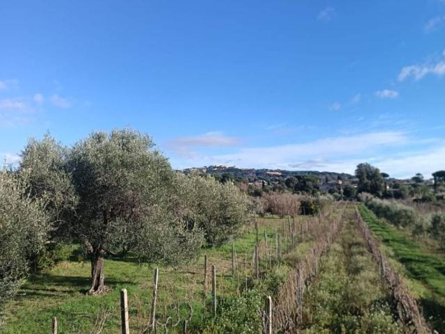 Terreno in vendita a Due Santi, Roma Capitale
