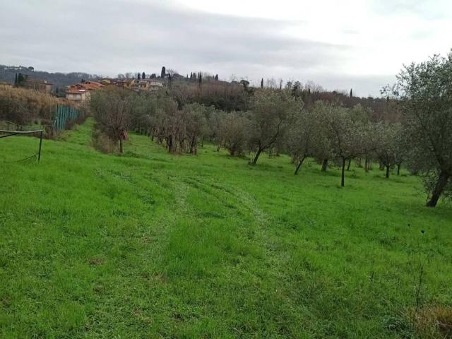 Terreno in vendita a Marliana, Toscana
