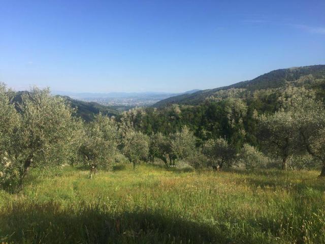 Terreno in vendita a Montagnana, Marliana