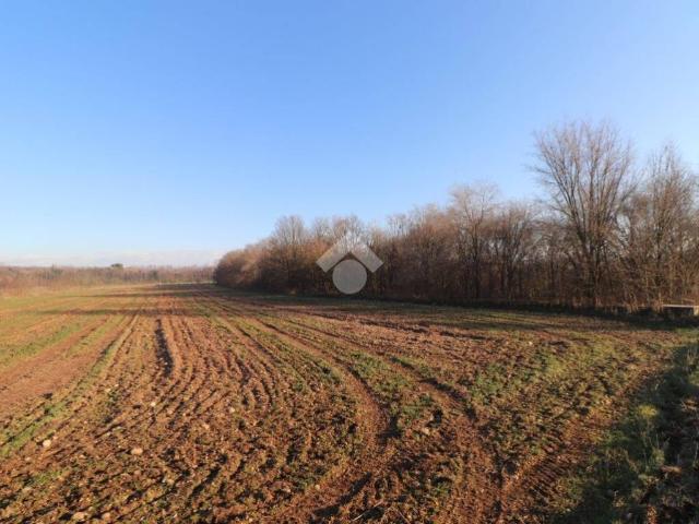 Terreno in vendita a Marmirolo, Lombardia
