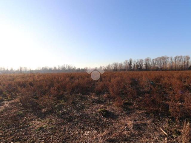 Terreno in vendita a Marmirolo, Lombardia