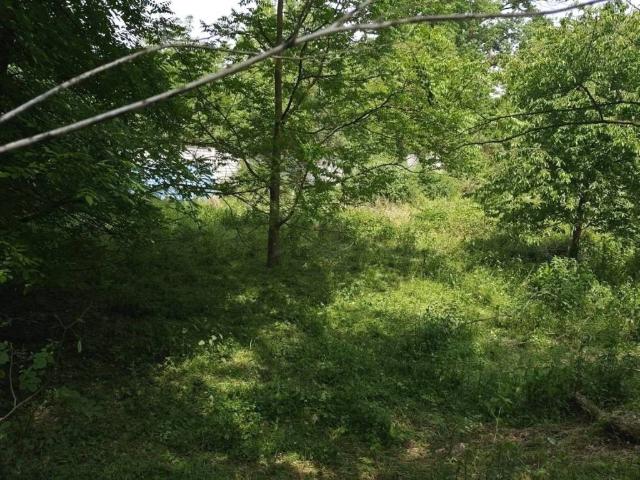 Terreno in vendita a Nizzolina, Marnate
