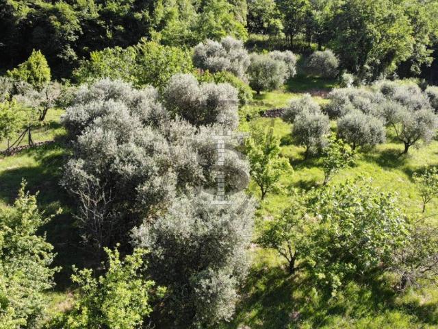 Terreno in vendita a Marostica, Veneto