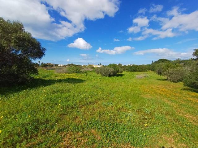 Terreno in vendita a Marsala, Sicilia