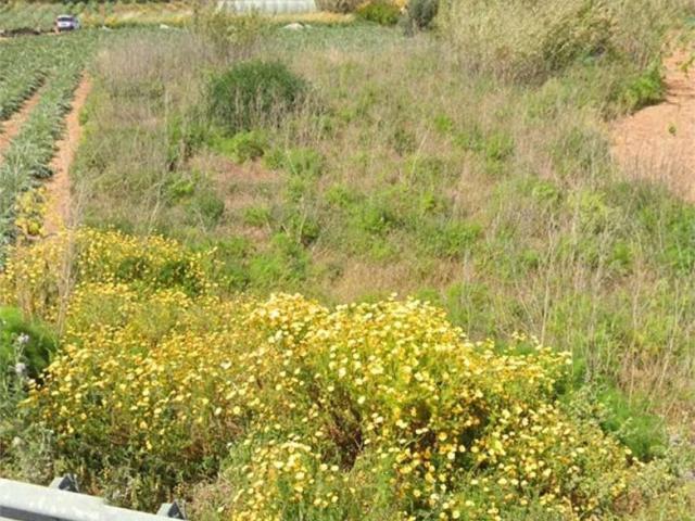 Terreno in vendita a Marsala, Sicilia