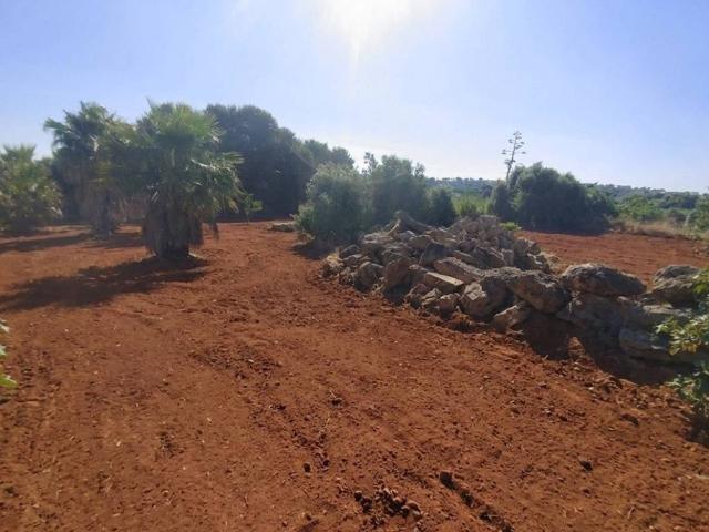 Terreno in vendita a Marsala, Sicilia