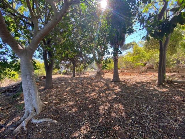 Terreno in vendita a Marsala, Sicilia