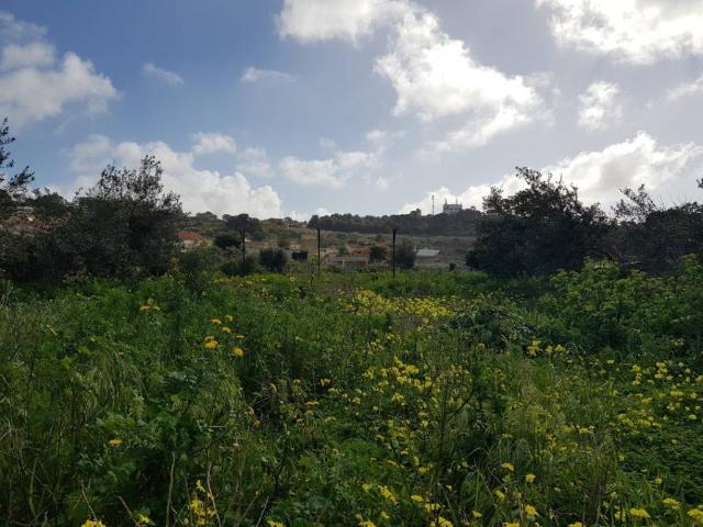 Terreno in vendita a Marsala, Sicilia