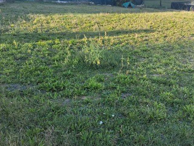 Terreno in vendita a Marsciano, Umbria