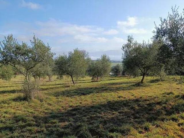 Terreno in vendita a Marsciano, Umbria