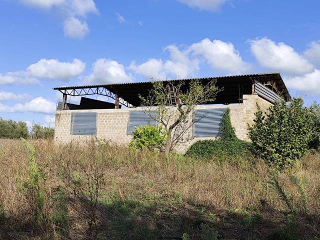 Terreno in vendita a Marta, Lazio