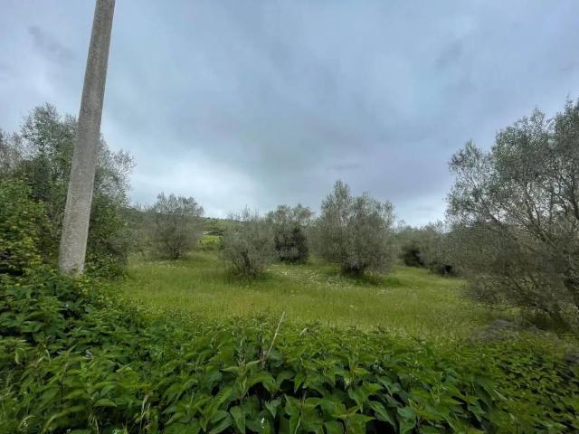 Terreno in vendita a Marta, Lazio