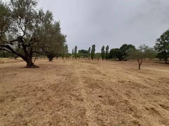 Terreno in vendita a Marta, Lazio