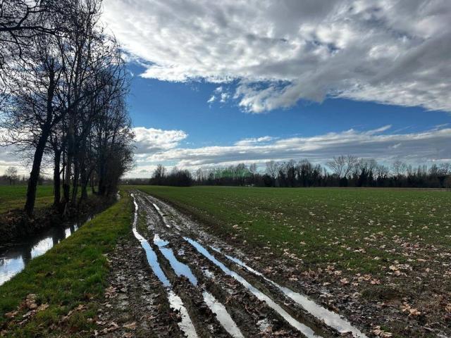Terreno in vendita a Martellago, Veneto
